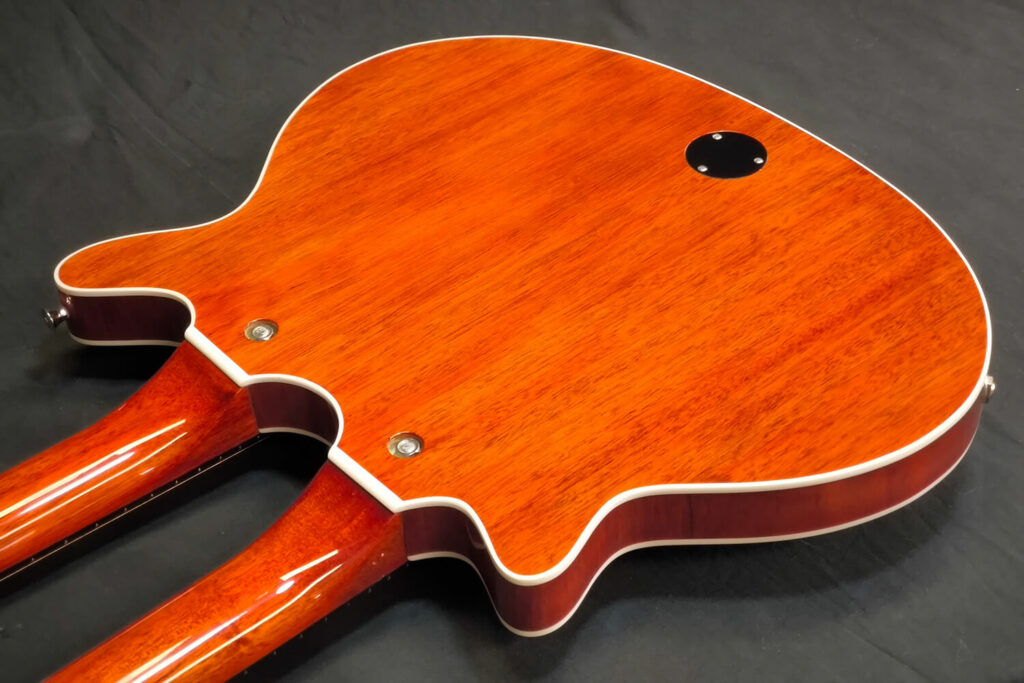 Double Neck Guitar